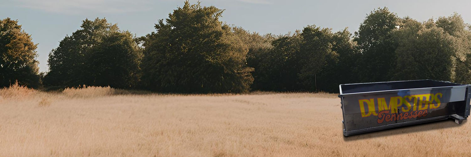 Residential dumpster rental